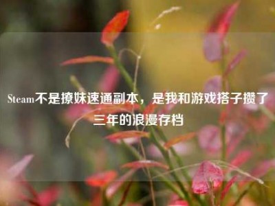 Steam不是撩妹速通副本，是我和游戏搭子攒了三年的浪漫存档
