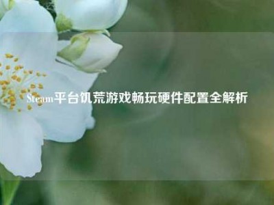 Steam平台饥荒游戏畅玩硬件配置全解析