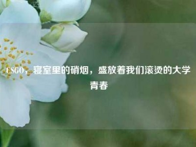 CSGO，寝室里的硝烟，盛放着我们滚烫的大学青春