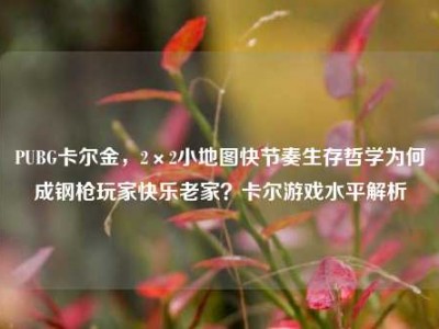PUBG卡尔金，2×2小地图快节奏生存哲学为何成钢枪玩家快乐老家？卡尔游戏水平解析