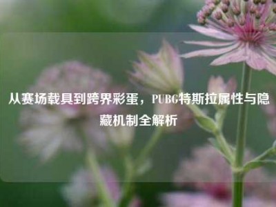 从赛场载具到跨界彩蛋，PUBG特斯拉属性与隐藏机制全解析