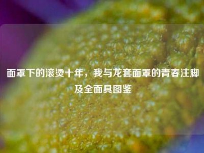 面罩下的滚烫十年，我与龙套面罩的青春注脚及全面具图鉴