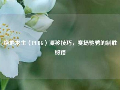 绝地求生（PUBG）漂移技巧，赛场驰骋的制胜秘籍