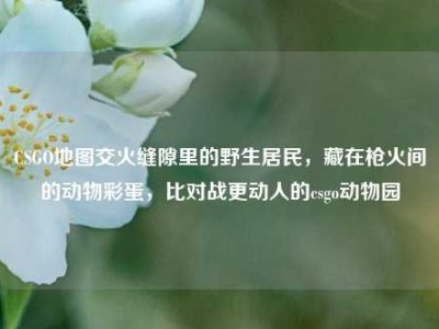 CSGO地图交火缝隙里的野生居民，藏在枪火间的动物彩蛋，比对战更动人的csgo动物园