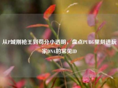 从P城刚枪王到苟分小透明，盘点PUBG里刻进玩家DNA的常见ID