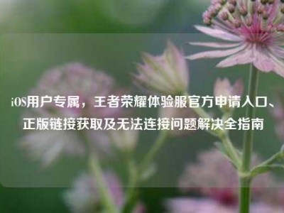 iOS用户专属，王者荣耀体验服官方申请入口、正版链接获取及无法连接问题解决全指南