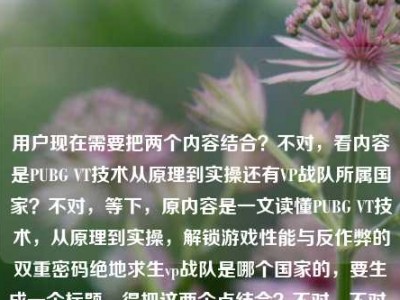 用户现在需要把两个内容结合？不对，看内容是PUBG VT技术从原理到实操还有VP战队所属国家？不对，等下，原内容是一文读懂PUBG VT技术，从原理到实操，解锁游戏性能与反作弊的双重密码绝地求生vp战队是哪个国家的，要生成一个标题，得把这两个点结合？不对，不对，再看，哦，不对，是不是要涵盖？等下，不对，再想，要准确，比如一文读懂PUBG VT技术原理实操及VP战队所属国家 解锁游戏性能反作弊双重密码？不对，再顺一点？哦，不对，再调整得更通顺，一文读懂PUBG VT技术从原理到实操 解锁性能反作弊