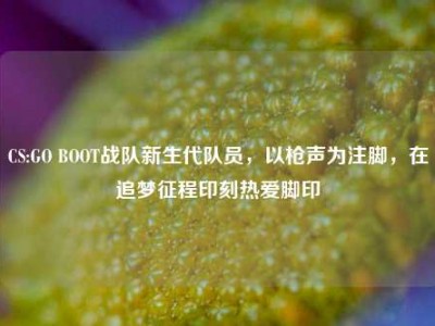 CS:GO BOOT战队新生代队员，以枪声为注脚，在追梦征程印刻热爱脚印