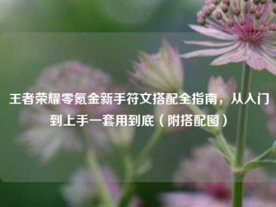 王者荣耀零氪金新手符文搭配全指南，从入门到上手一套用到底（附搭配图）