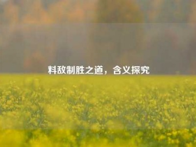 料敌制胜之道，含义探究