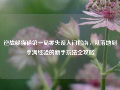 逆战躲猫猫第一局零失误入门指南，从落地到拿满经验的新手玩法全攻略