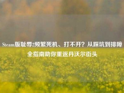 Steam版耻辱2频繁死机、打不开？从踩坑到排障全指南助你重返丹沃尔街头