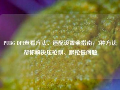 PUBG DPI查看方法、适配设置全指南，3种方法帮你解决压枪飘、跟枪慢问题