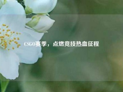 CSGO赛季，点燃竞技热血征程