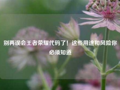 别再误会王者荣耀代码了！这些用途和风险你必须知道