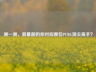 测一测，屏幕前的你对应哪位PUBG顶尖高手？