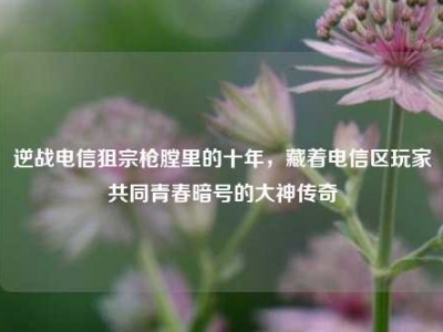 逆战电信狙宗枪膛里的十年，藏着电信区玩家共同青春暗号的大神传奇