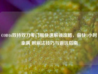 COD16双持双刀零门槛快速解锁攻略，最快1小时拿满 附刷法技巧与避坑指南