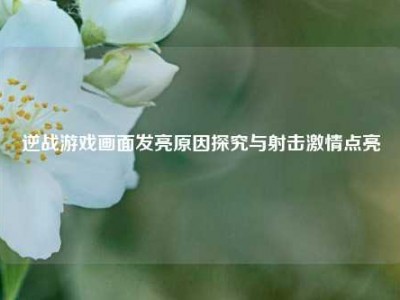 逆战游戏画面发亮原因探究与射击激情点亮