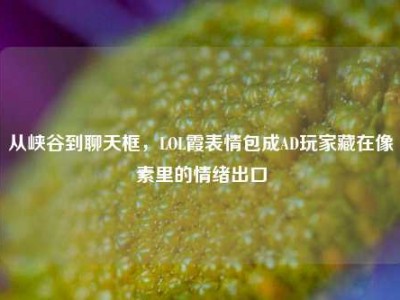 从峡谷到聊天框，LOL霞表情包成AD玩家藏在像素里的情绪出口