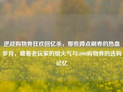 逆战购物券狂欢回忆杀，那些蹲点刷券的热血岁月，藏着老玩家的烟火气与5000购物券的选购记忆