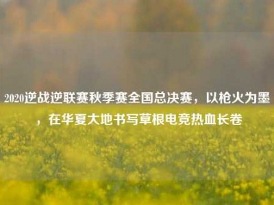 2020逆战逆联赛秋季赛全国总决赛，以枪火为墨，在华夏大地书写草根电竞热血长卷