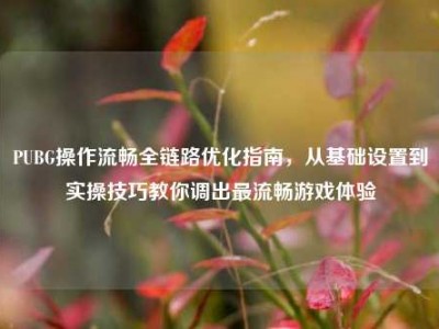 PUBG操作流畅全链路优化指南，从基础设置到实操技巧教你调出最流畅游戏体验