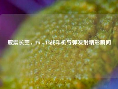 威震长空，FA - 18战斗机导弹发射精彩瞬间