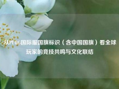 从PUBG国际服国旗标识（含中国国旗）看全球玩家的竞技共鸣与文化联结