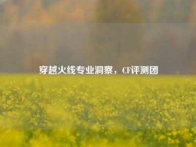 穿越火线专业洞察，CF评测团