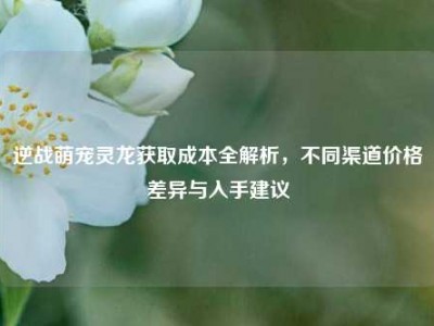 逆战萌宠灵龙获取成本全解析，不同渠道价格差异与入手建议
