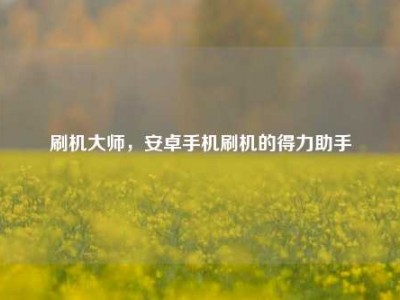 刷机大师，安卓手机刷机的得力助手