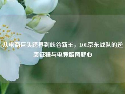 从电商巨头跨界到峡谷新王，LOL京东战队的逆袭征程与电竞版图野心