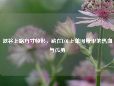峡谷上路方寸帧影，藏在LOL上单图景里的热血与孤勇