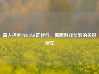 深入探究PUBG认证软件，保障游戏体验的关键所在