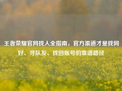 王者荣耀官网找人全指南，官方渠道才是找同好、寻队友、找回账号的靠谱路径