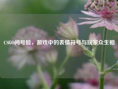 CSGO问号脸，游戏中的表情符号与玩家众生相