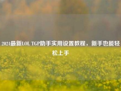 2024最新LOL TGP助手实用设置教程，新手也能轻松上手
