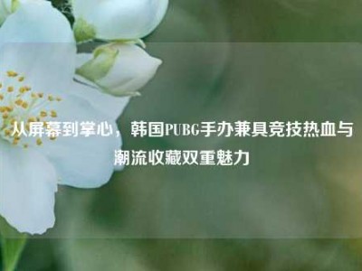 从屏幕到掌心，韩国PUBG手办兼具竞技热血与潮流收藏双重魅力