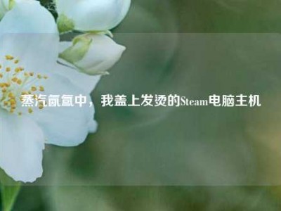 蒸汽氤氲中，我盖上发烫的Steam电脑主机