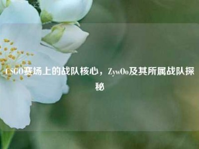 CSGO赛场上的战队核心，ZywOo及其所属战队探秘