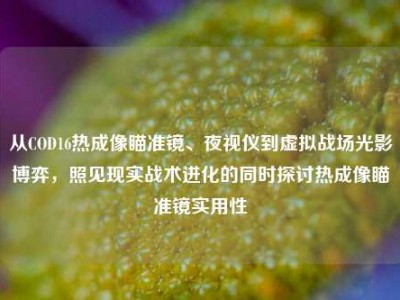从COD16热成像瞄准镜、夜视仪到虚拟战场光影博弈，照见现实战术进化的同时探讨热成像瞄准镜实用性