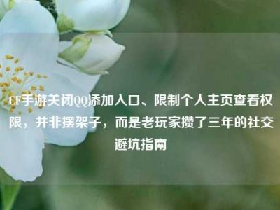 CF手游关闭QQ添加入口、限制个人主页查看权限，并非摆架子，而是老玩家攒了三年的社交避坑指南