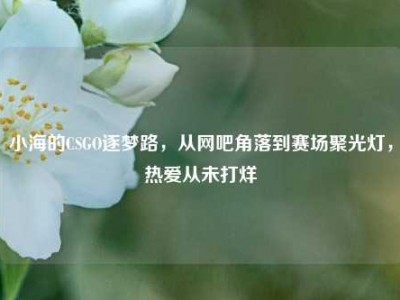 小海的CSGO逐梦路，从网吧角落到赛场聚光灯，热爱从未打烊