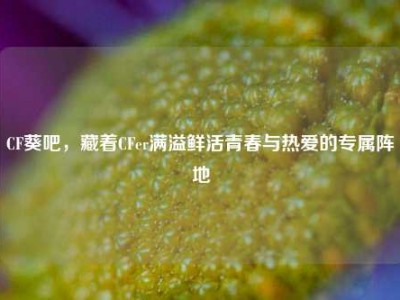 CF葵吧，藏着CFer满溢鲜活青春与热爱的专属阵地