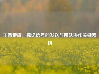 王者荣耀，标记信号的发送与团队协作关键密钥