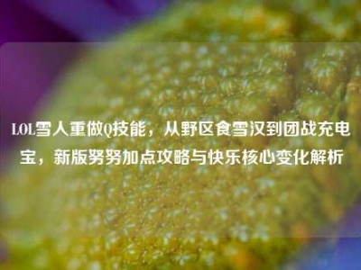 LOL雪人重做Q技能，从野区食雪汉到团战充电宝，新版努努加点攻略与快乐核心变化解析