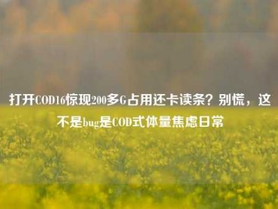 打开COD16惊现200多G占用还卡读条？别慌，这不是bug是COD式体量焦虑日常