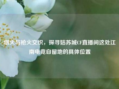 烟火与枪火交织，探寻姑苏城CF直播间这处江南电竞自留地的具体位置