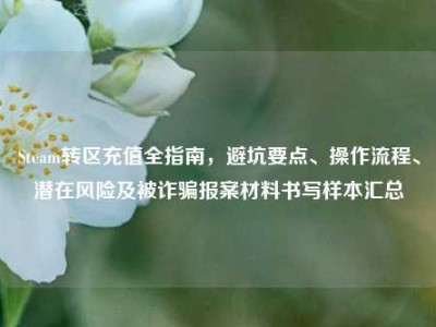 Steam转区充值全指南，避坑要点、操作流程、潜在风险及被诈骗报案材料书写样本汇总